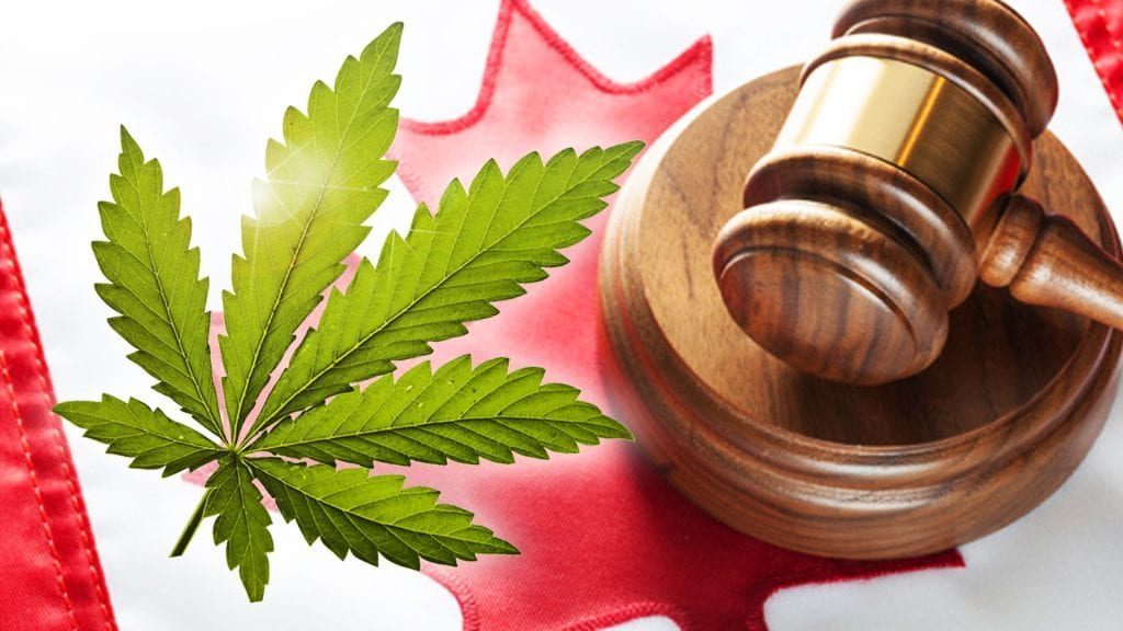 Historic Cannabis Bill C-45 Passes in Canadian Senate
