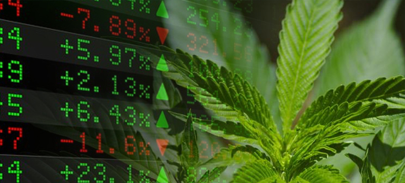 Cannabis Stocks Canada