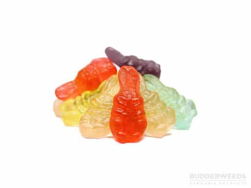Limited Edition: Gummy Bunnies