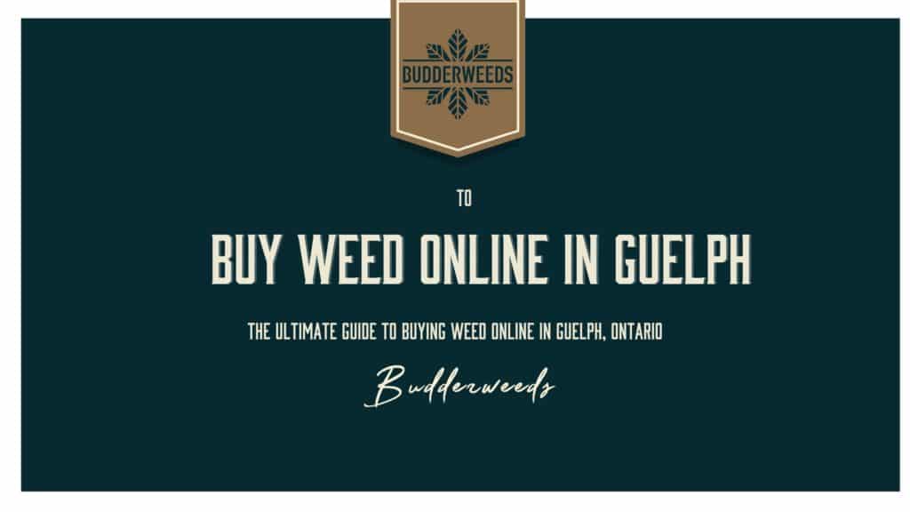 Buy-Weed-Online-in-Guelph