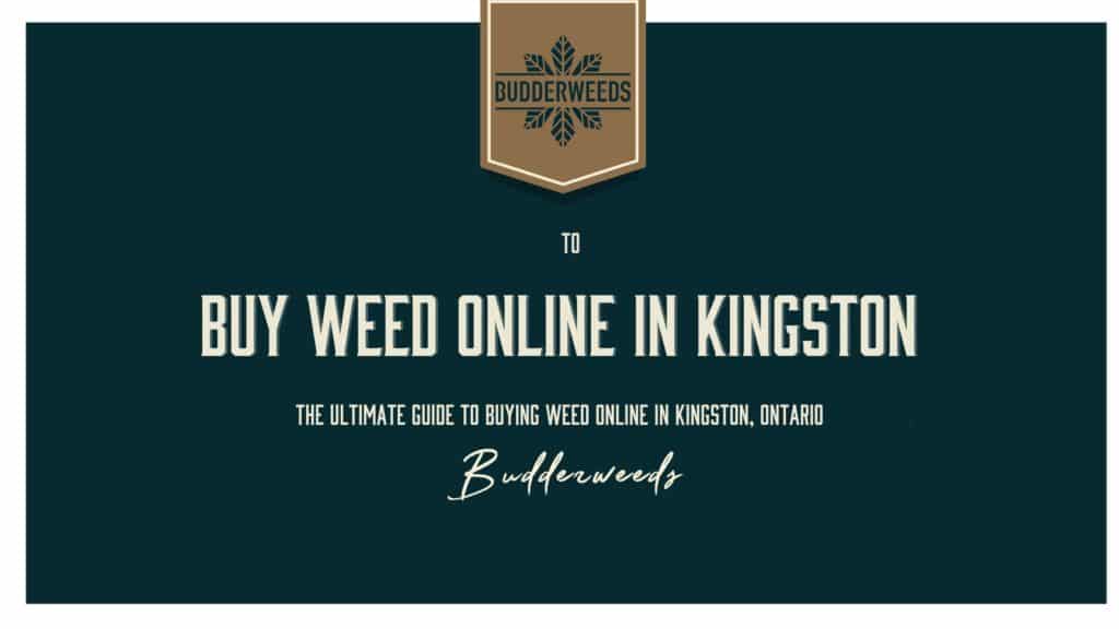 Buy-Weed-Online-in-Kingston
