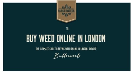 Buy-Weed-Online-in-London-Ontario