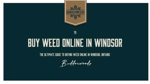 Buy-Weed-Online-in-Windsor