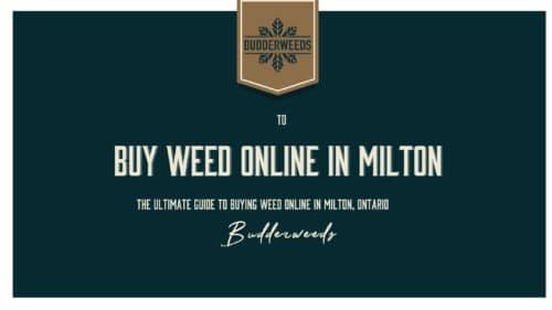 buy-weed-canada-ontario-Milton