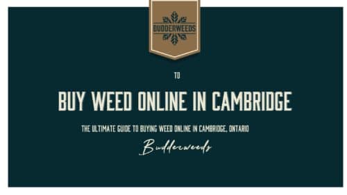 buy-weed-canada-ontario-cambridge
