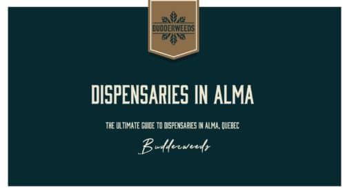 dispensaries-in-Alma