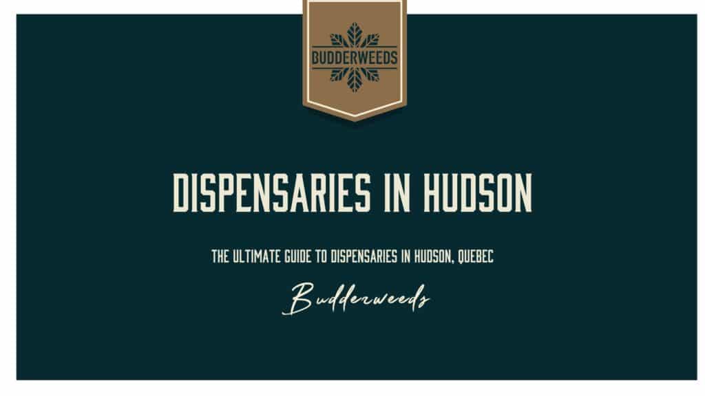 dispensaries-in-Hudson