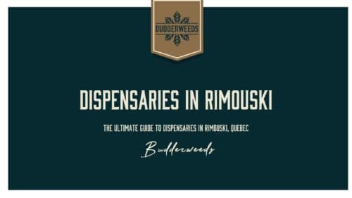 dispensaries-in-Rimouski