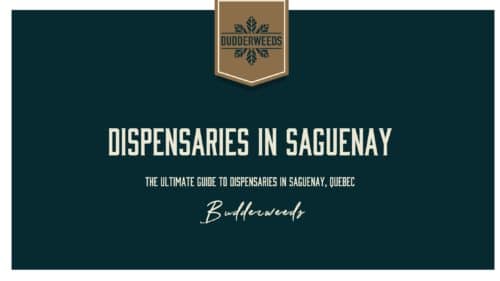dispensaries-in-Saguenay