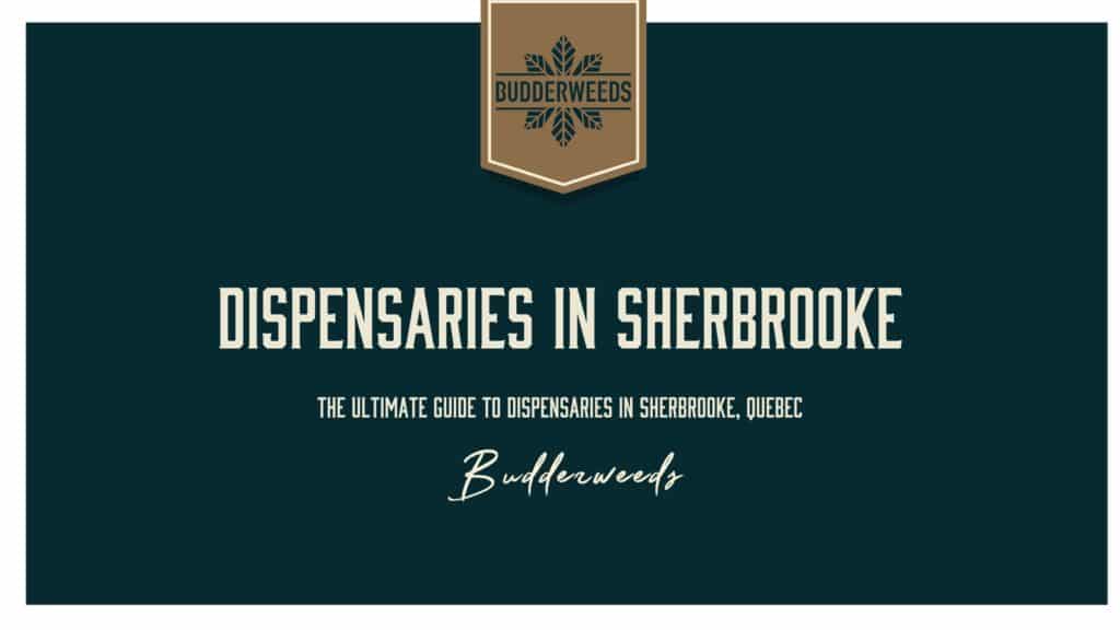 dispensaries-in-Sherbrooke