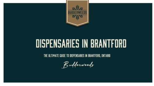 dispensaries-in-Brantford