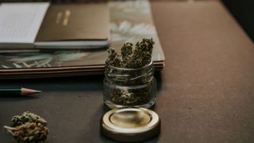 Haven-St-cannabis-reviews-budderweeds