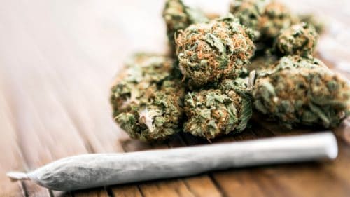 Northern-Harvest-cannabis-brand-reviews-budderweeds