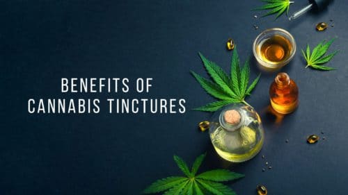 benefits-of-cannabis-tinctures-budderweeds