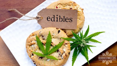 budderweeds-edibles-buy-online-montreal