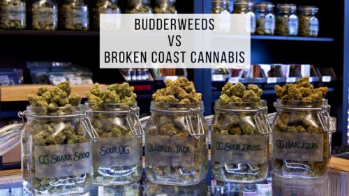 budderweeds-vs-broken-coast-cannabis