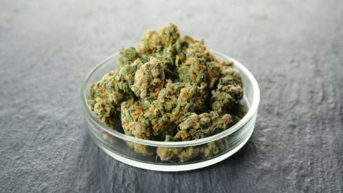 cove-crafted-reviews-budderweeds