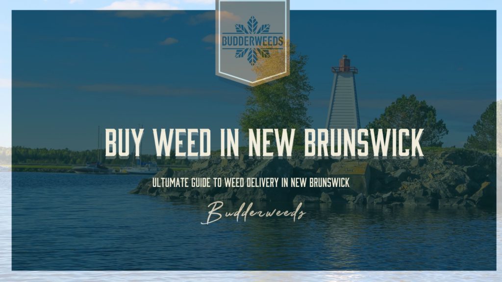 new-brunswick-cannabis