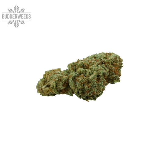 GG1 Cannabis Strain